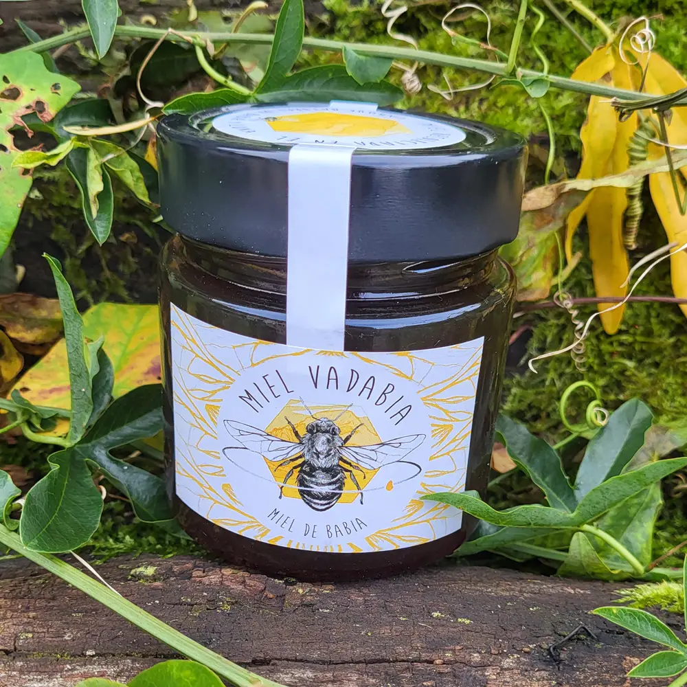 Tarro de vidrio lleno de miel de abeja orgánica, con etiqueta que muestra el logo de la marca 'Miel de Vadavia' y una ilustración de una abeja. El tarro está rodeado de hojas verdes y otros elementos naturales, sobre un fondo de madera oscura.