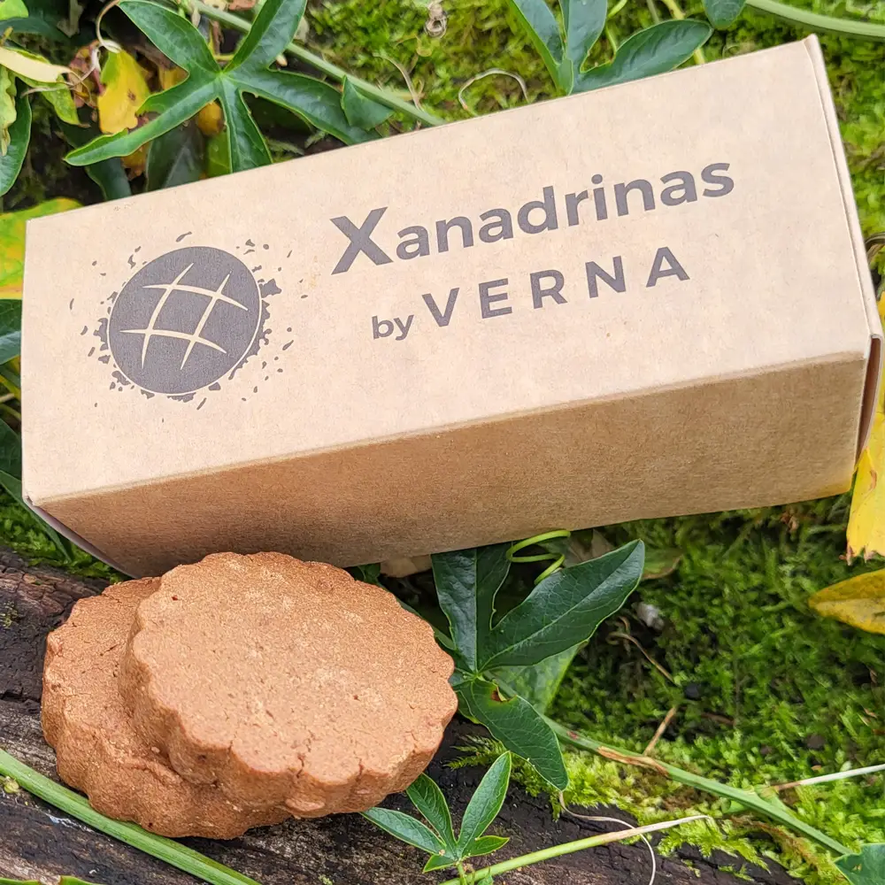 Caja de cartón marrón con el logotipo y nombre de la marca 'Xanadrinas by VERNA' impresa. Dentro de la caja se ven varias pastas de color marrón oscuro, hechas con harina de algarroba. La caja está rodeada de hojas verdes y otros elementos naturales, sobre un fondo de musgo y vegetación.